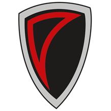 Solingen Paladins Logo