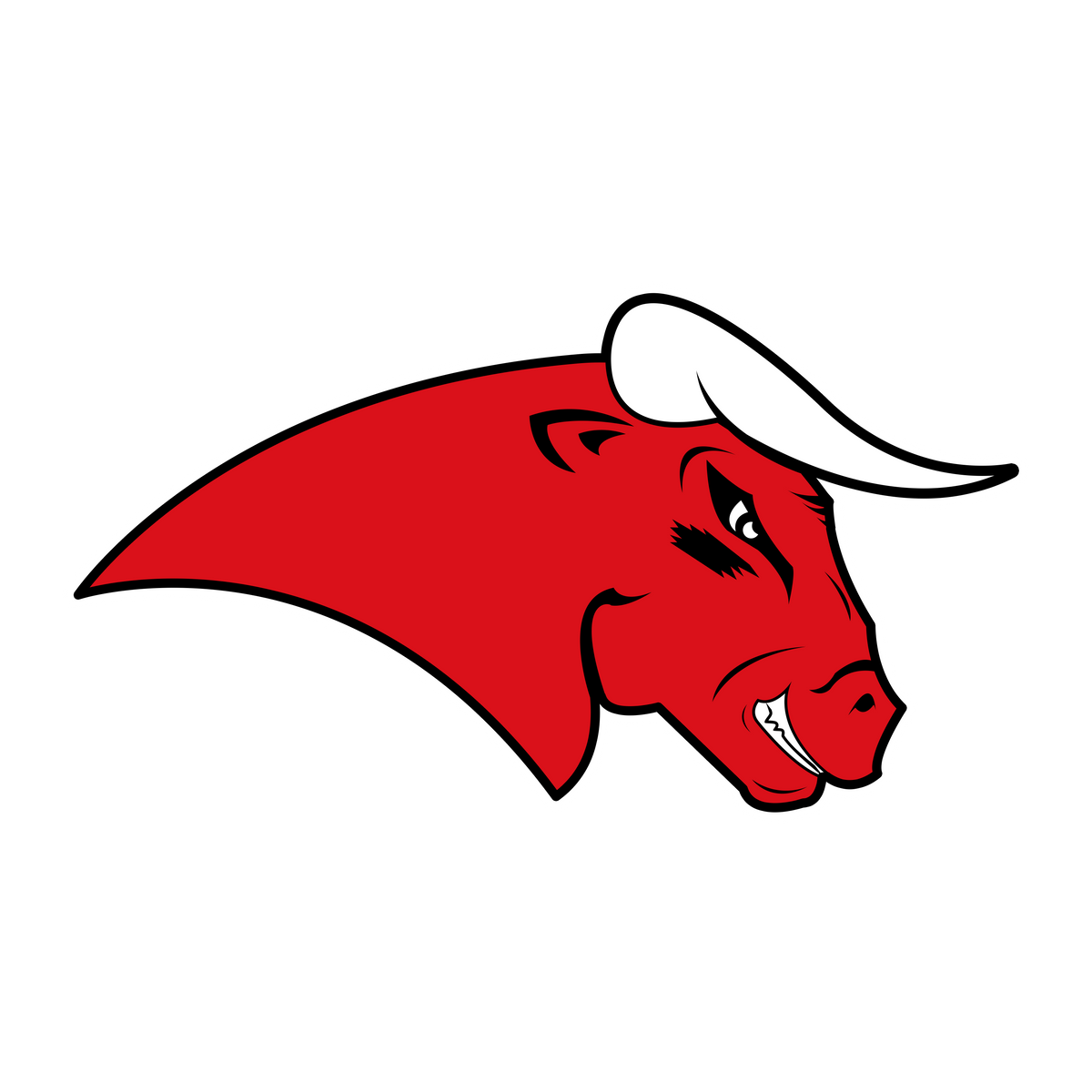 Lady Bulls Coesfeld Logo