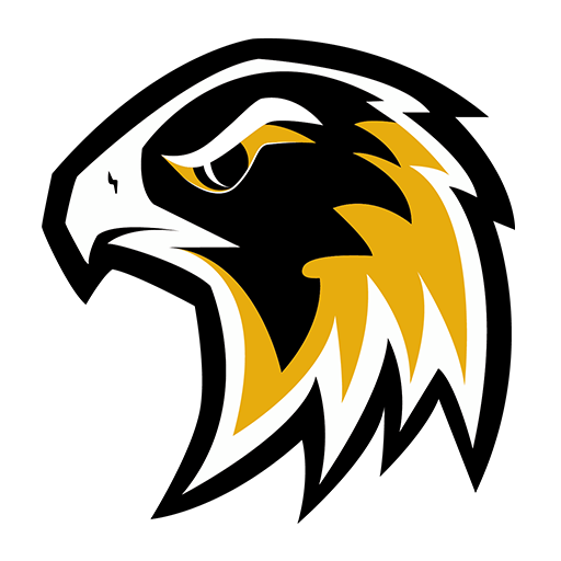 Münster Blackhawks Logo