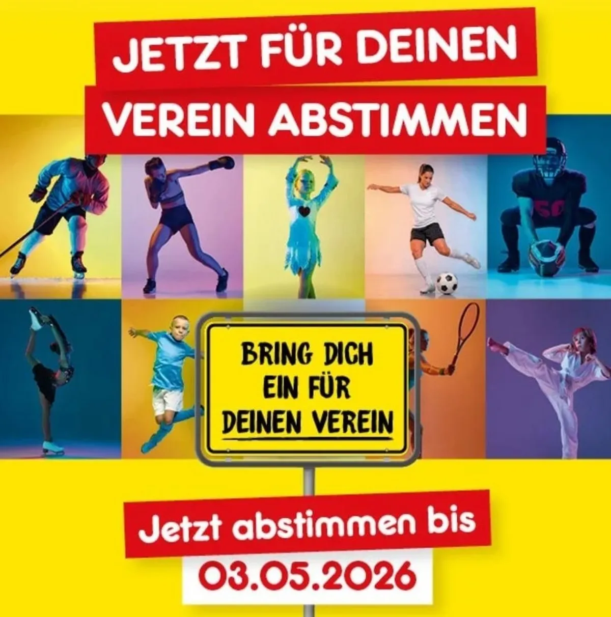 Flyer für Abstimmung Cologne Falcons